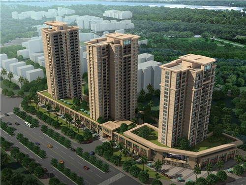 鱼头大大鱼头泡饭