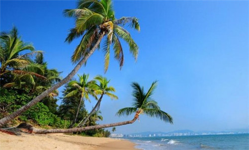 特福莱汽车美容