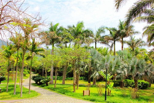 世界名表加盟10大品牌有哪些，世界名表商