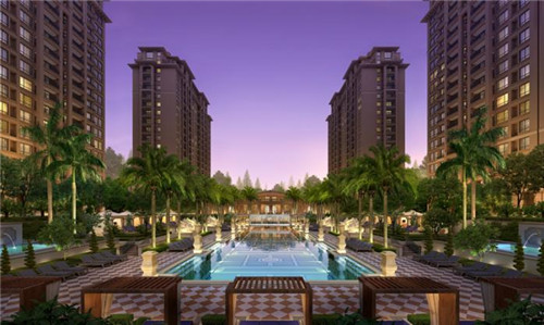 为食猫加盟费多少