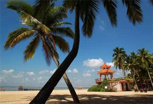 大红袍加盟连锁店排行榜（大红袍奶茶加盟）