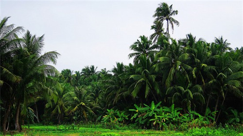如何装修家住别墅温馨（别墅装修最省钱的方法）